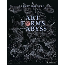 Art Forms from the Abyss