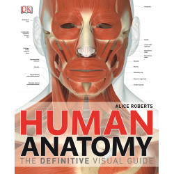 Human Anatomy