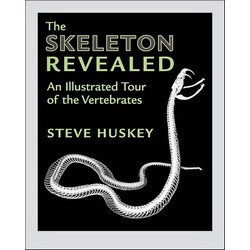 The Skeleton Revealed