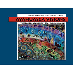 Ayahuasca Visions: The Religious Iconography of a Peruvian Shaman