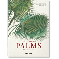 The Book of Palms (40th Anniversary Edition)