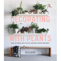 Decorating with Plants