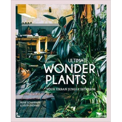 Ultimate Wonder Plants: Your Urban Jungle Interior