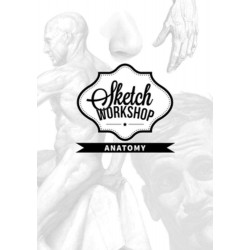Sketch Workshop: Anatomy