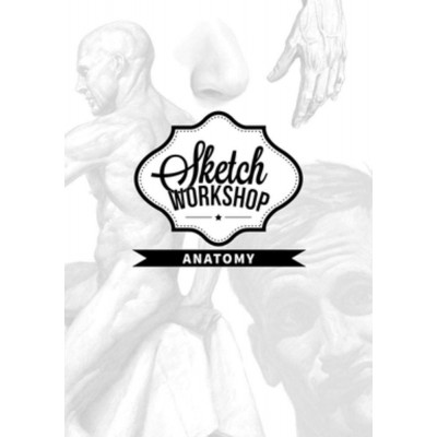 Sketch Workshop: Anatomy