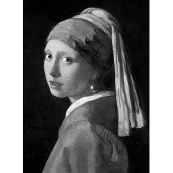 Vermeer (Phaidon Classics)