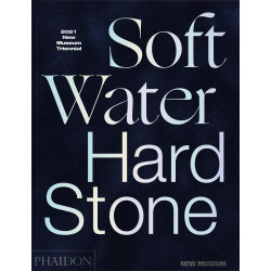 Soft Water Hard Stone: 2021 New Museum Triennial