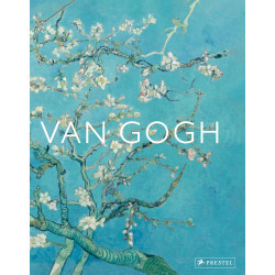 Van Gogh: The Bigger Picture