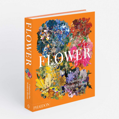 Flower: Exploring the World in Bloom