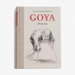 Goya Drawings