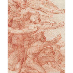 Michelangelo: Divine Draftsman and Designer