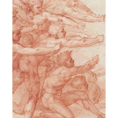Michelangelo: Divine Draftsman and Designer