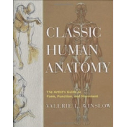 Classic Human Anatomy