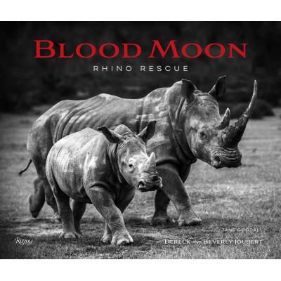 Blood Moon