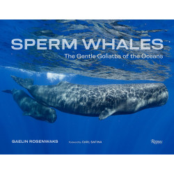 Sperm Whales: The Gentle Goliaths of the Ocean