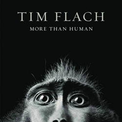 Tim Flach More Than Human
