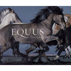 Equus by Tim Flach (Mini)