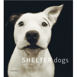 Shelter Dogs HB