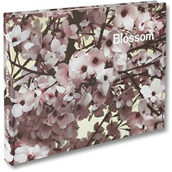 Blossom by Thomas Demand and Ben Lerner