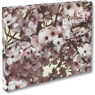Blossom by Thomas Demand and Ben Lerner