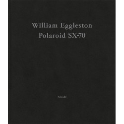 William Eggleston: Polaroid Sx-70