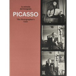 Picasso: The Photographer's Gaze