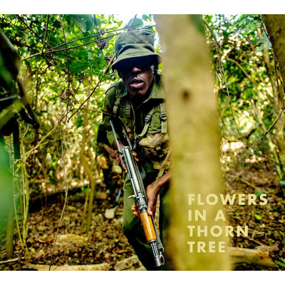 Steven Thackston: Flowers in a Thorn Tree