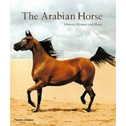 The Arabian Horse