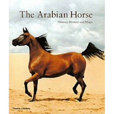 The Arabian Horse