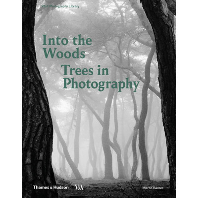 Into the Woods: Trees in Photography