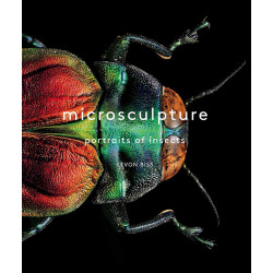Microsculpture: Portraits of Insects