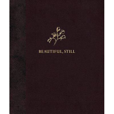 Beautiful, Still by Colby Deal