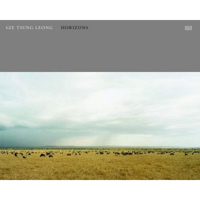 Sze Tsung Leong: Horizons