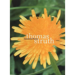 Thomas Struth. Dandelion Room