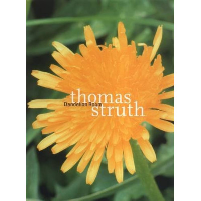 Thomas Struth. Dandelion Room