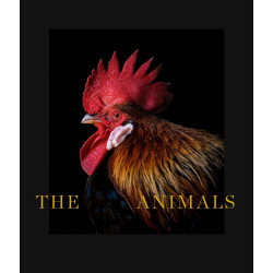 Animals: Estela de Castro (Bilingual edition: Text in English & Spanish