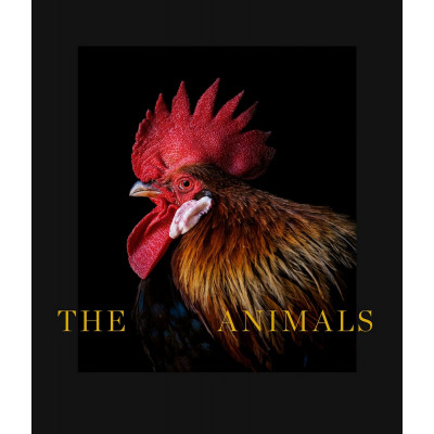 Animals: Estela de Castro (Bilingual edition: Text in English & Spanish