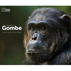 Tales from Gombe