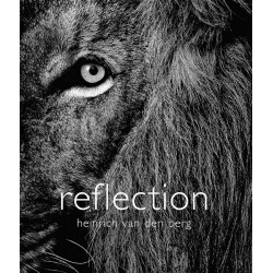 Reflection