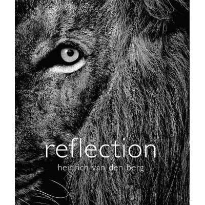 Reflection
