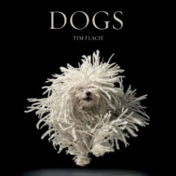 Dogs by Tim Flach
