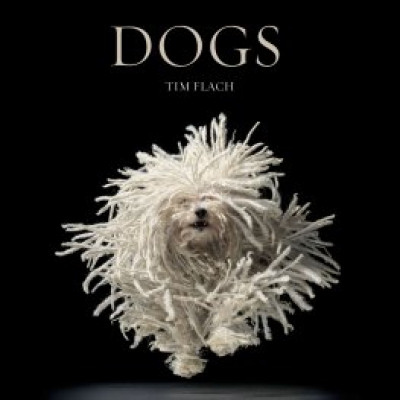 Dogs by Tim Flach