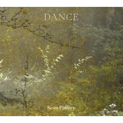 Sean Palfrey: Dance