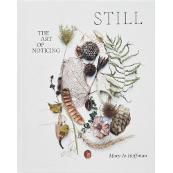 STILL: The Art of Noticing STILL: The Art of Noticing