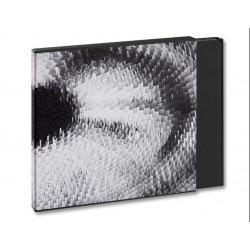 Visual Spaces of Today by Andreas Gursky