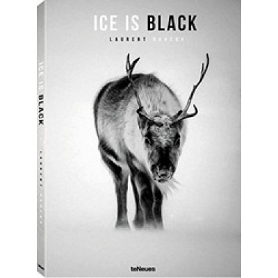 Ice is Black (Уценка)