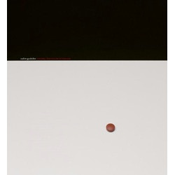 Vadim Gushchin: Everyday Objects / Cultural Treasures