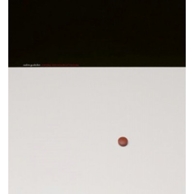 Vadim Gushchin: Everyday Objects / Cultural Treasures