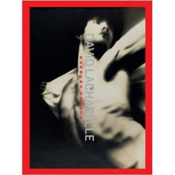 David LaChapelle: Burning Beauty