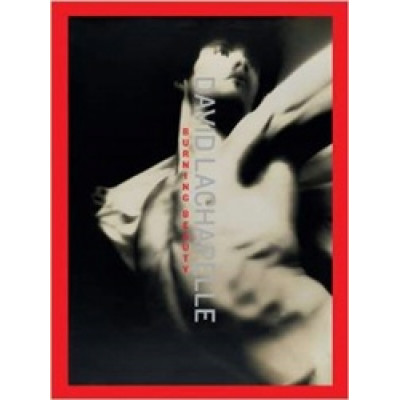 David LaChapelle: Burning Beauty